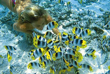 surin islands snorkeling day trip